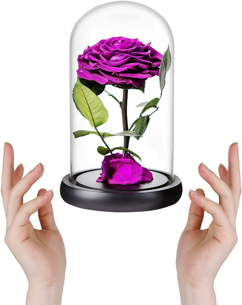 Preserved Roses Purple Real Preserved Rose in Glass Dome with Wooden Base, Rose Preserved Never Withered Romantic Gifts for Her, Valentine'S Day, Mother'S Day, Birthday (9 Inch, Purple)
